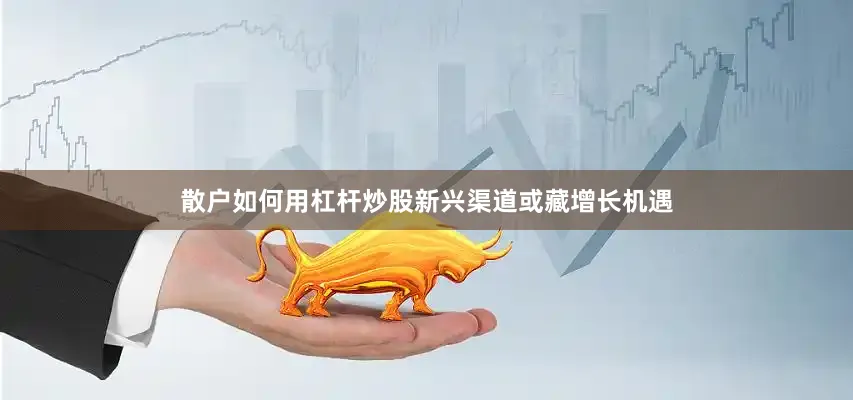 散户如何用杠杆炒股新兴渠道或藏增长机遇