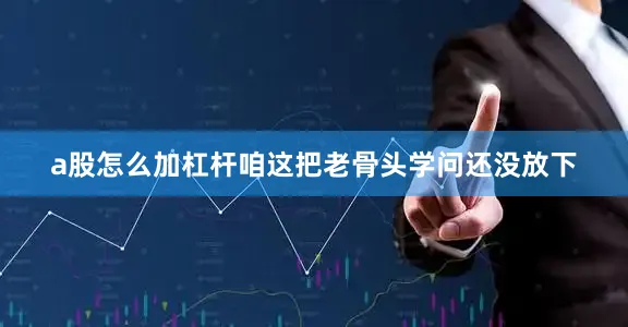 a股怎么加杠杆咱这把老骨头学问还没放下