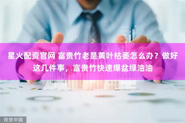星火配资官网 富贵竹老是黄叶枯萎怎么办？做好这几件事，富贵竹快速爆盆绿油油