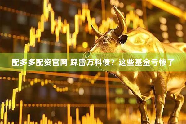 配多多配资官网 踩雷万科债？这些基金亏惨了