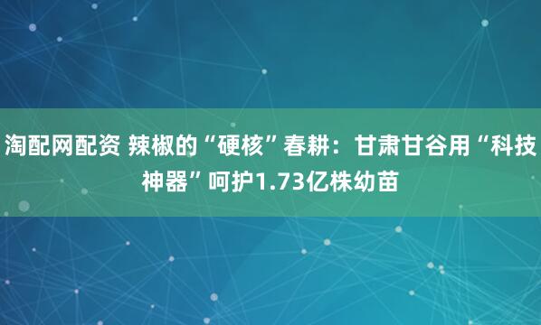 淘配网配资 辣椒的“硬核”春耕：甘肃甘谷用“科技神器”呵护1.73亿株幼苗